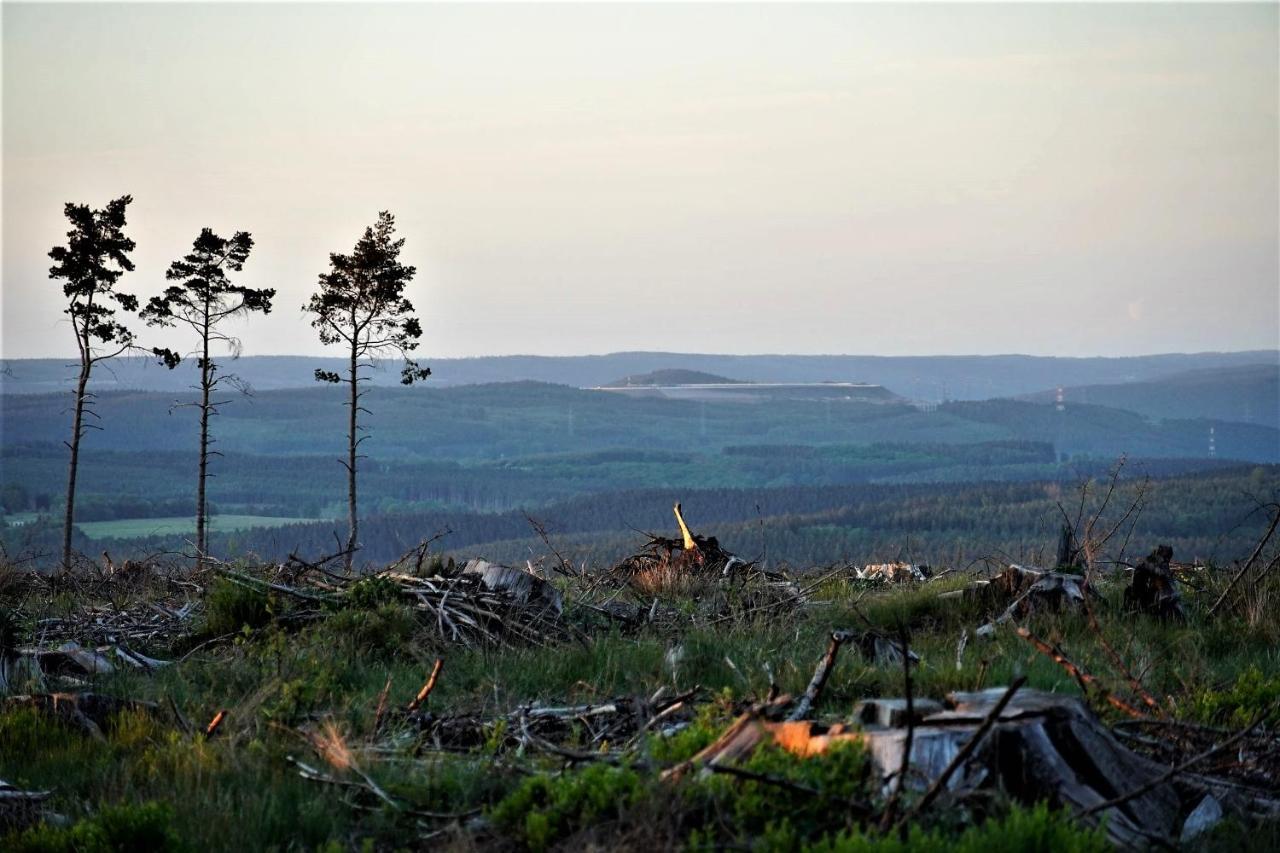 "Petite Perle En Haute Ardenne" Avec Vue Sur La Vallee, Cabine Infra-Rouge Et Bain Balneo Lierneux エクステリア 写真