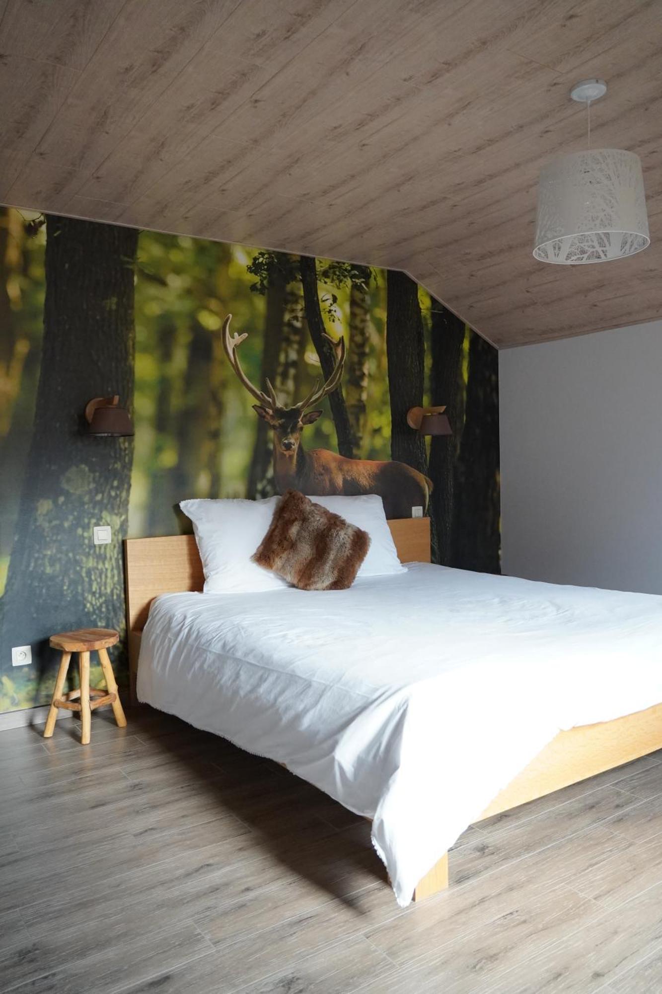 "Petite Perle En Haute Ardenne" Avec Vue Sur La Vallee, Cabine Infra-Rouge Et Bain Balneo Lierneux エクステリア 写真